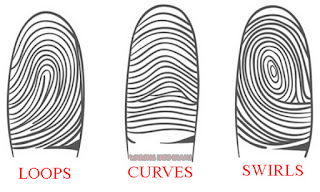 Inilah Cara Melihat Kepribadian Dari Pola Sidik Jari