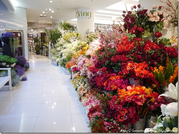 PhotoCap_036