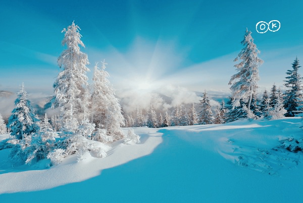 North India winters