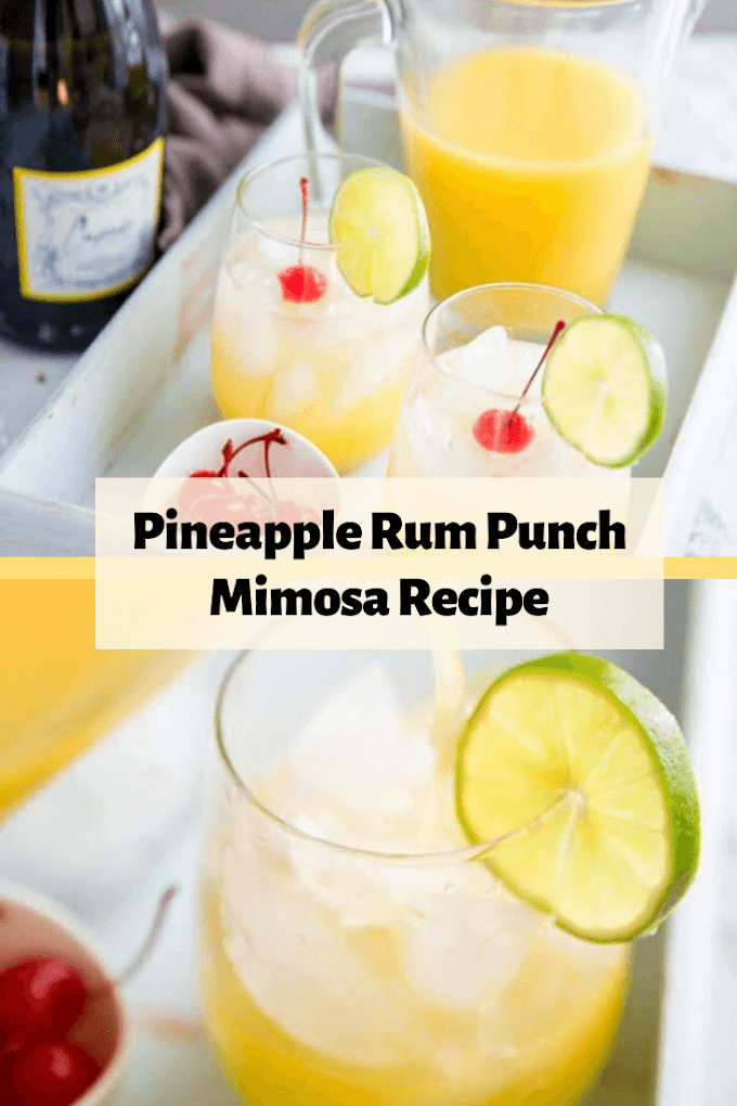 Fruity Cocktail Recipes Rum Punches