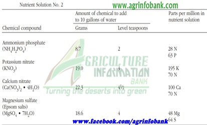 Hydroponics2