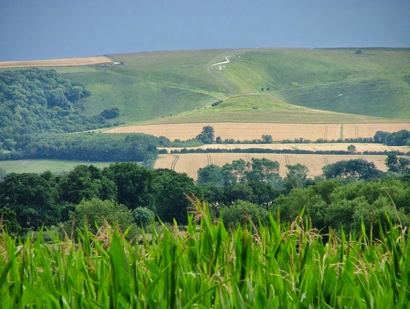 uffington white horse, white horse england, white horse hill, uffington horse, the white horse at uffington, the white horse, uffington, vale of white horse, white horse uffington, white horse of uffington, the white horse uffington, white horse uk, chalk white horse, uffington white horse defaced, vale of the white horse, white chalk horse, white horse on the hill, white horse hill uffington, the white horse uk, the uffington white horse, giant white horse,