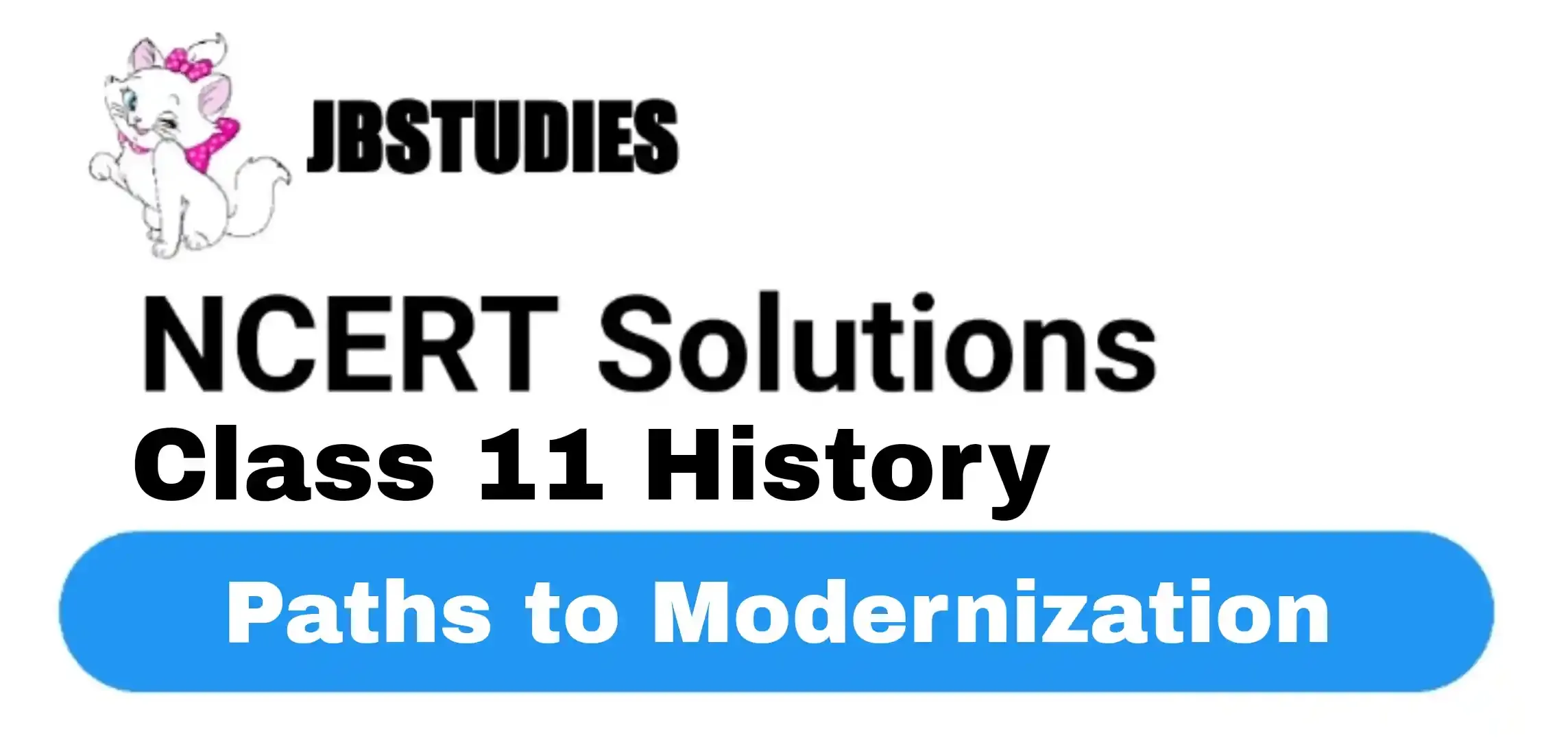 Solutions Class 11 History Chapter-11 Paths to Modernization