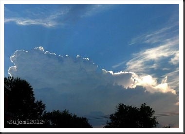 IMG_2012 07 07_184950w