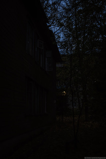 Темные силуэта зданий и стволов деревьев ночью