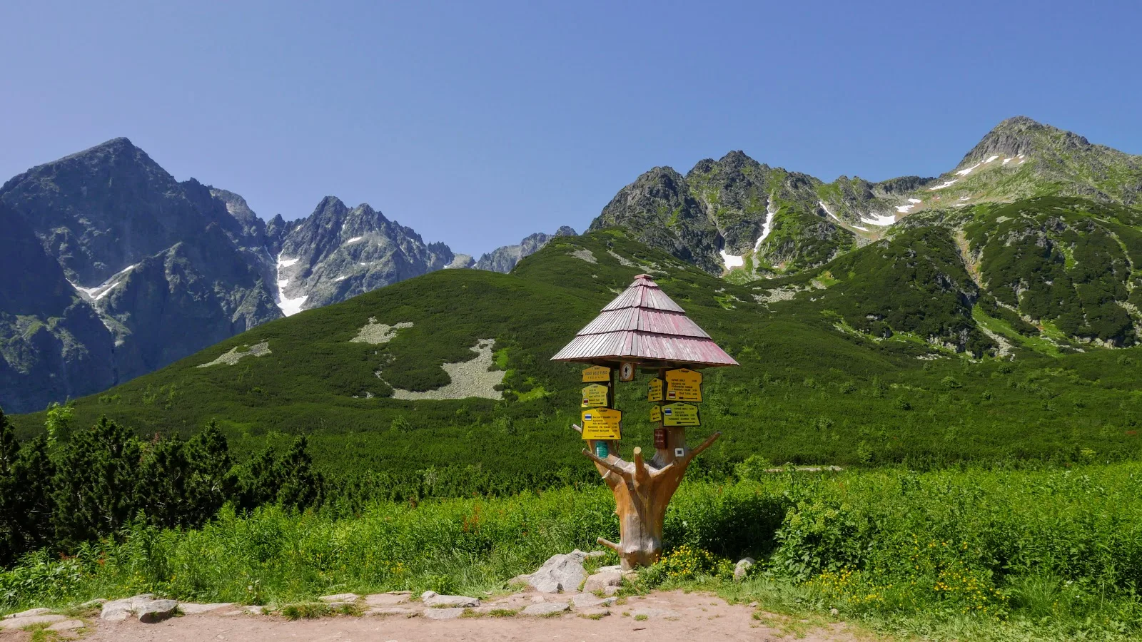 Wędrówka przez Tatry Bielskie i Wysokie. Przełęcz pod Kopą-Jagnięcy Szczyt-Świstówka. Lato w Tatrach. Tatry dla początkujących. Tatry dla średniozaawansowanych. Łatwe szlaki w Tatrach. Szlaki widokowe w Tatrach. Tatry Bielskie zdjęcia. Tatry Wysokie zdjęcia. Opis szlaków w tatrach. Tatry blog. Jagnięcy szczyt blog. Tatry bielskie blog. Przełęcz pod kopą. Szeroka przełęcz tatry bielskie.