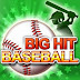 Big Hit Baseball Premium (APK) Download