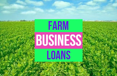 Farm business loans programs