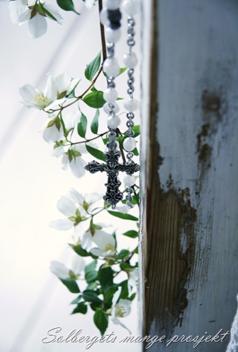 _MG_4898 til blogg