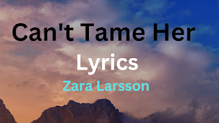 Lyrics Can't Tame Her - Zara Larsson Lyrics