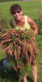 danver's half long carrots