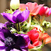 Frais Coloriage Anémone De Mer