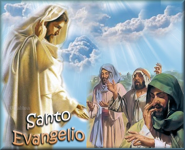 Resultado de imagen para evangelio de hoy