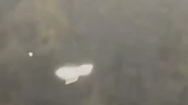 Here's a clear snapshot of the UFO sighting over Germany filmed by Skywatcherger.