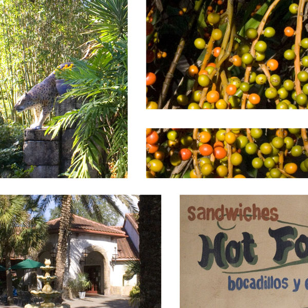 The Rainforest Garden: Latin American Theme Garden