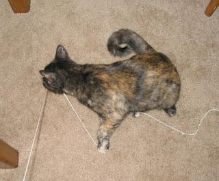 It's her string.