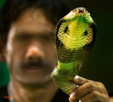 Snake World: 15 साल से ब्रेकफास्ट में लेता है सांपों का जहर !