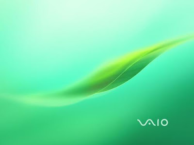 Green Wallpaper on Club Vaio  Vaio Tender Green Wallpaper