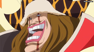 ワンピースアニメ ドレスローザ編 670話 ロシナンテ | ONE PIECE Episode 670