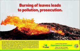 Burning Fallen Tree Leaves is Injurious to Health