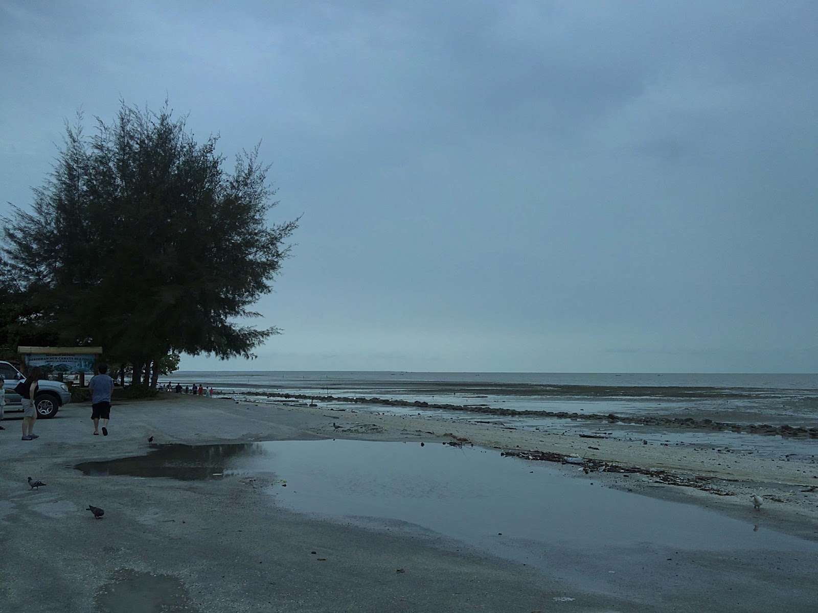 Kaki Rayau: Pantai Remis Jeram , Kuala Selangor , Selangor