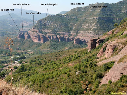 Els Cingles del Perer i de La Pineda des de sota el Grau de l'Ullar. Autor: Carlos Albacete