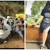 CR-V Maut:Rini Puspitawati, Model Cantik yang Kecelakaan Lalu Lintas 