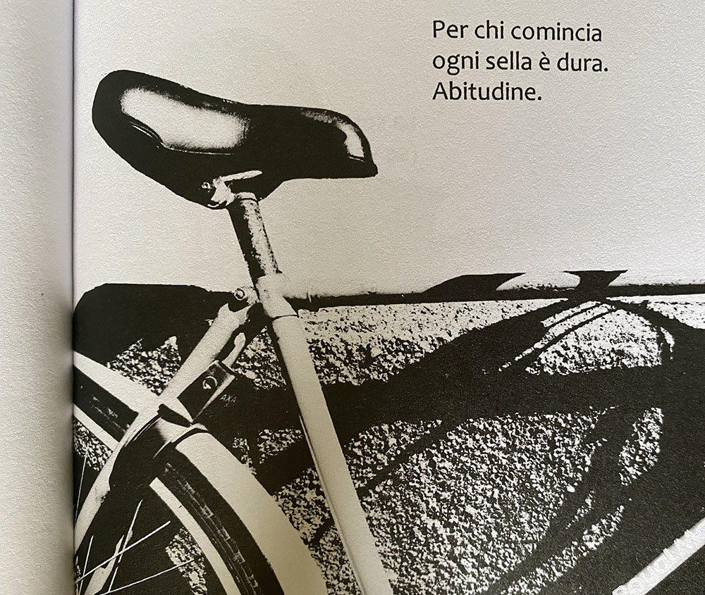 haiku in bicicletta