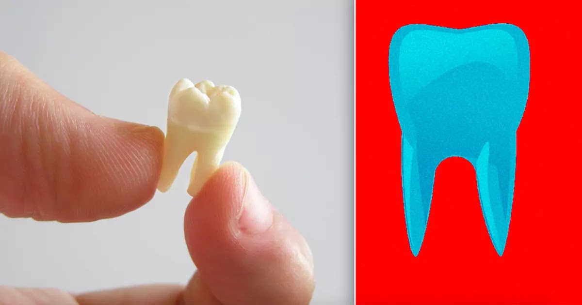 Scientists In Japan Develop Treatment That Can Regrow Teeth