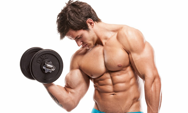 Muscle Building Exercises