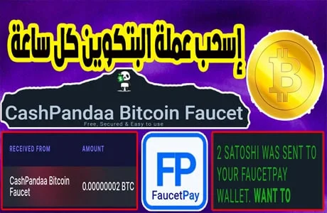 إكسب عملات البتكوين مجانا السحب كل ساعة من موقع cashpandaa يدعم Faucetpay 2023