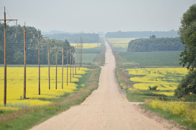 Trans Canada Trail pathway on road concession MB.