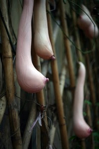 Boob Gourd, Buah Unik Yang Berbentuk Seperti Payudara Wanita! [ www.BlogApaAja.com ]