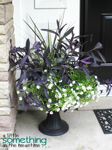 Porch Planter July 2012 WM