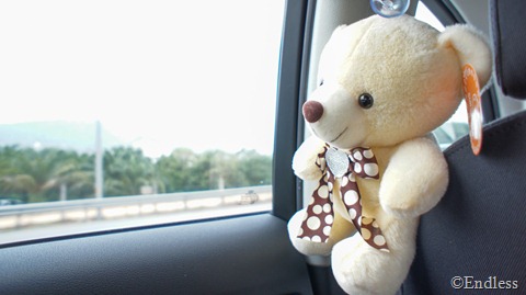SONY DSC