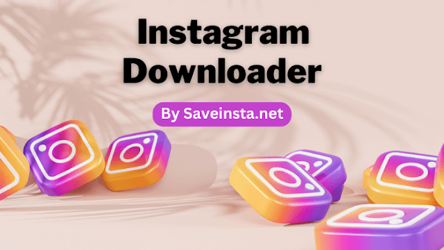 Website-Based Instagram Downloader
