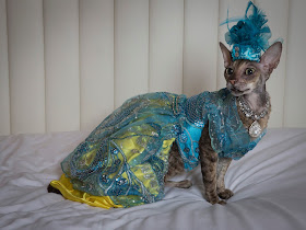 Coco Cornish Rex Couture Fashion NYC