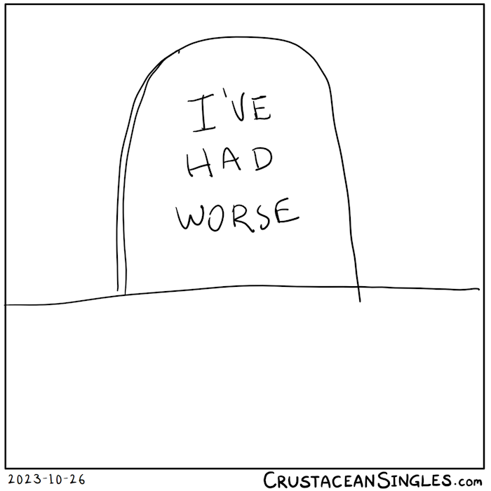 A particularly carelessly drawing in black and white lines of a headstone with the epitaph "I've had worse".