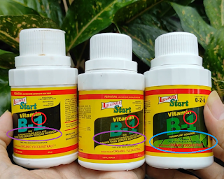 perbedaan vitamin b1 asli dan palsu