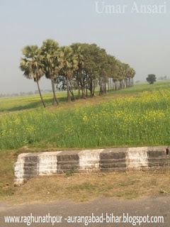 Raghunatpur 's berewa photo of aurangabad