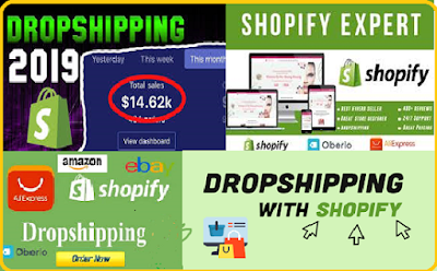 Earn money Online with this Shopify drop shipping website with Ali express and Oberlo