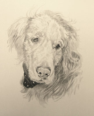 Golden Retriever portrait by Lori Levin