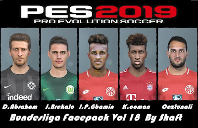 PES 2019 Bundesliga Facepack Vol 18 by Shaft