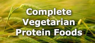 protein rich vegetarian foods for bodybuilding , protein rich food veg in india, high protein vegetarian diet plan , high protein vegetarian diet for weight loss , plant protein chart , vegan protein sources chart , protein rich snacks for vegetarians , protein packed vegan foods ,