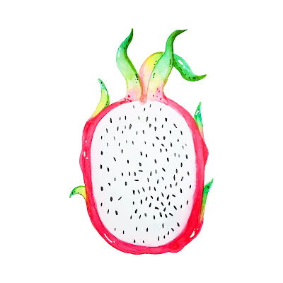 Pencil Sketch and Free Cartoon Images of Dragon Fruit