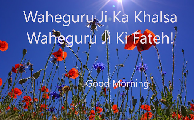 Waheguru Ji Ka Khalsa Waheguru Ji Ki Fatehi Good Morning.