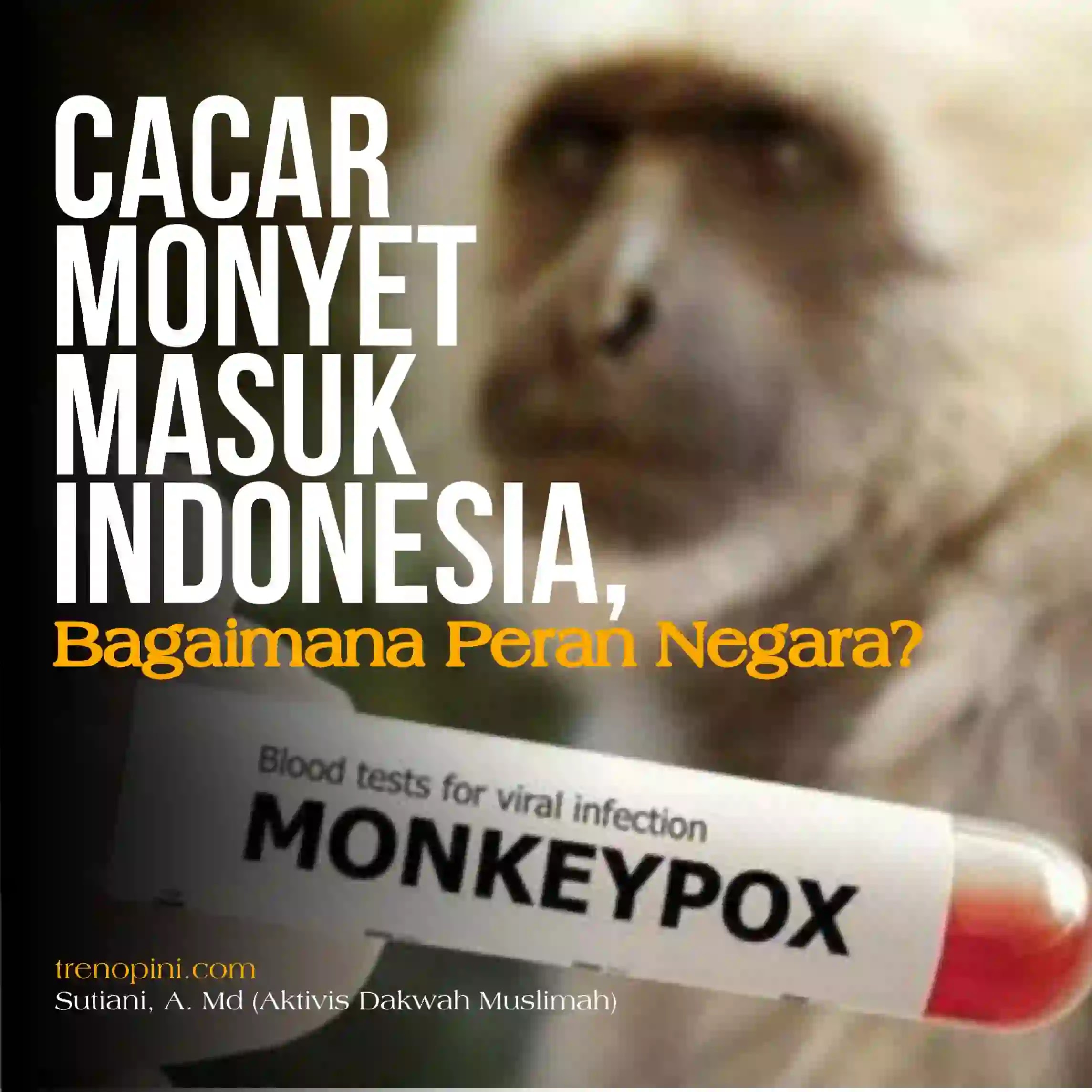 Cacar Monyet Masuk Indonesia, Bagaimana Peran Negara?