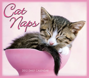 Cat Naps 2012 Box/Daily (calendar)