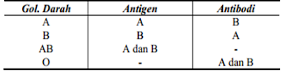 antigen, antibodi