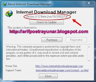 Download IDM 6.12 Beta Full Version